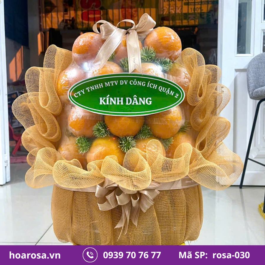 Giỏ Trái Cây Bích Thủy #030 – trái cây nhập khẩu