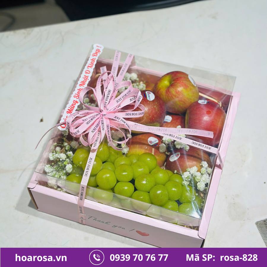 Hộp Trái Cây Bích Thủy #828 – trái cây nhập khẩu